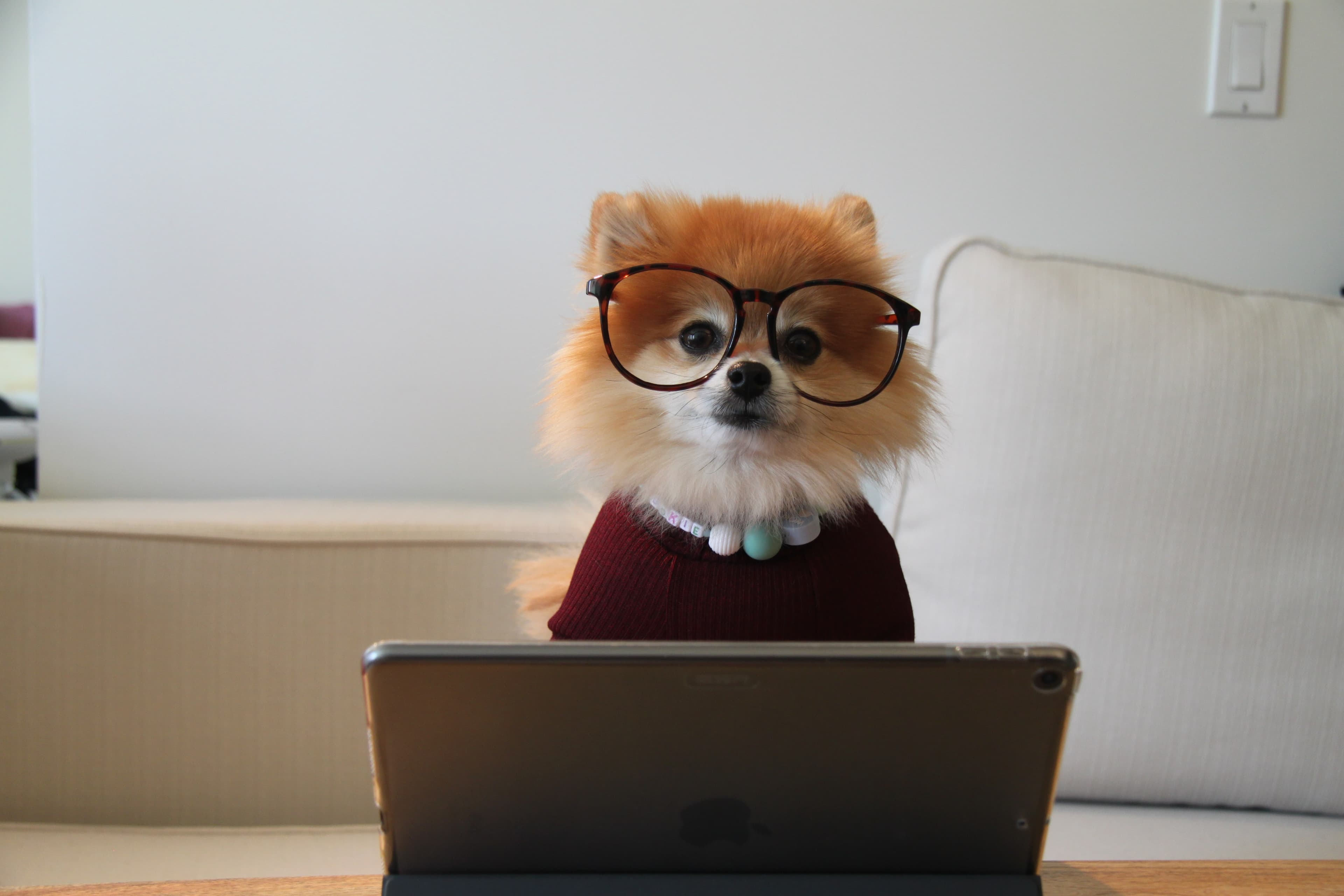 Clean code & programming principles - The ultimate beginner's guide